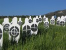 Human Targets in a field